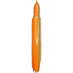 UV Orange and Silver Shimmer