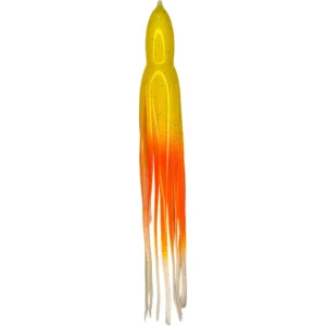 Yellow Orange and White Rainbow