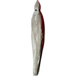 Shad