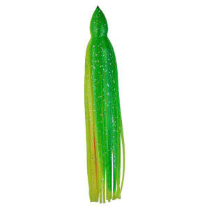 Zucchini